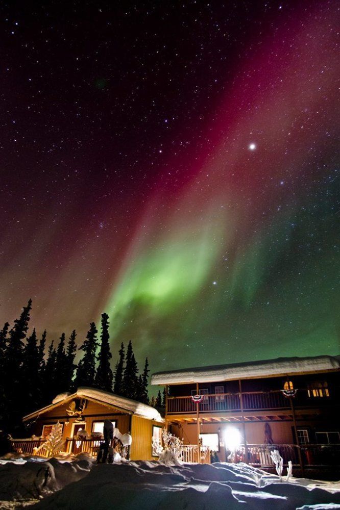 A Mooseberry Inn B&B Slana Dış mekan fotoğraf